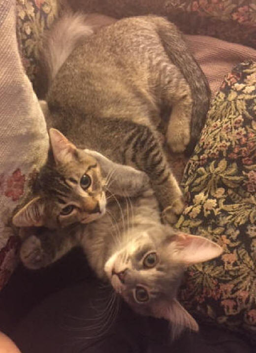 Liesl And Maisie Were Caught On Camera Mid embrace Or Mid tussle 